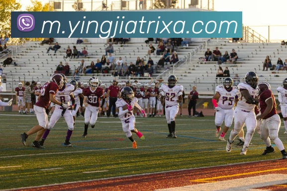 App Interface Preview