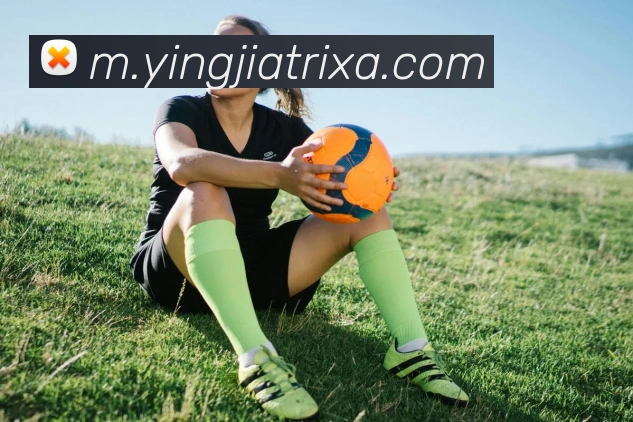 盈嘉体育APP 封面图